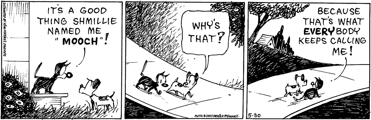 May 30 2003, Daily Comic Strip
