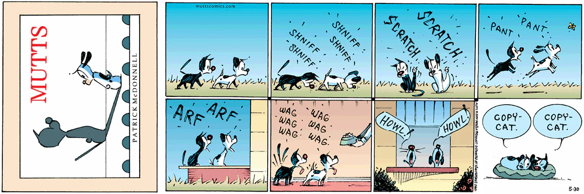 May 30 2004, Sunday Comic Strip