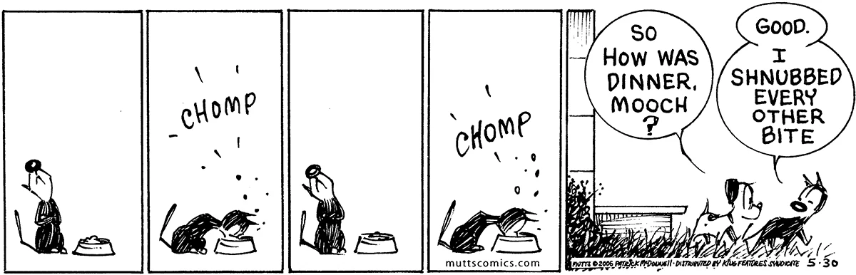 May 30 2006, Daily Comic Strip
