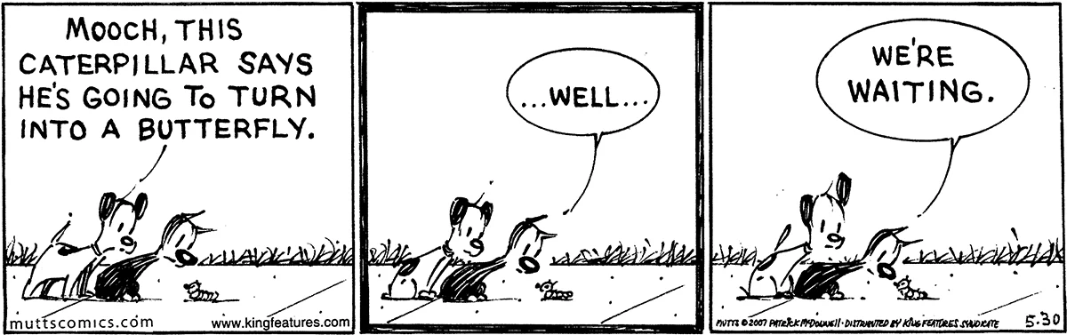 May 30 2007, Daily Comic Strip