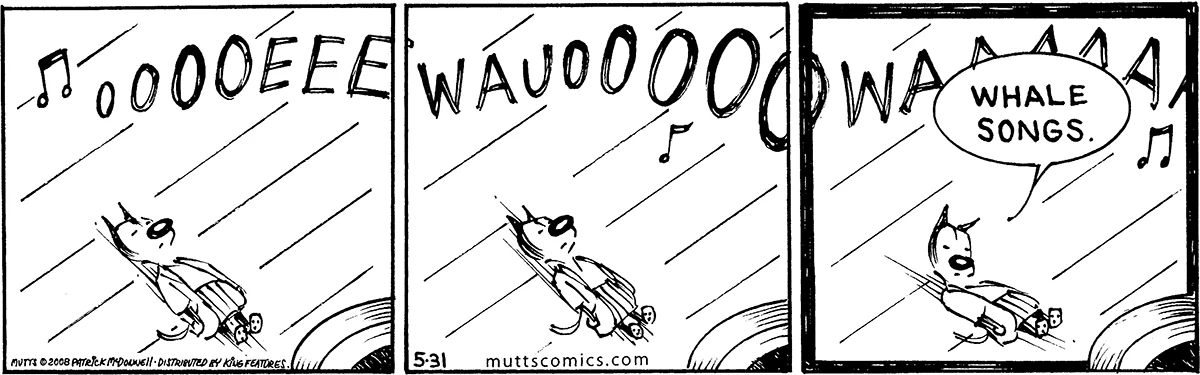 May 31 2008, Daily Comic Strip
