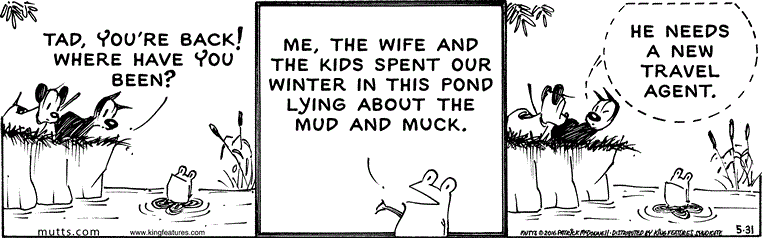 May 31 2016, Daily Comic Strip
