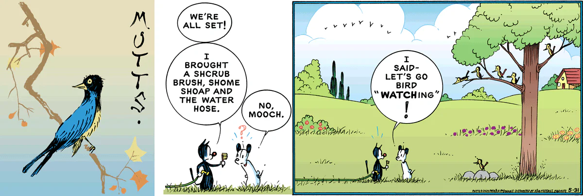 May 31 2020, Sunday Comic Strip