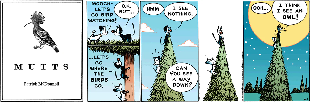 June 1 2014, Sunday Comic Strip