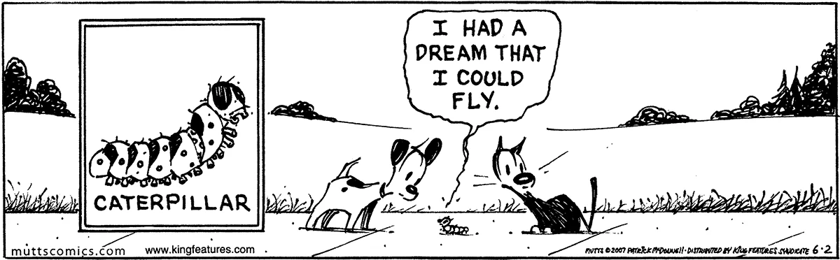 June 2 2007, Daily Comic Strip