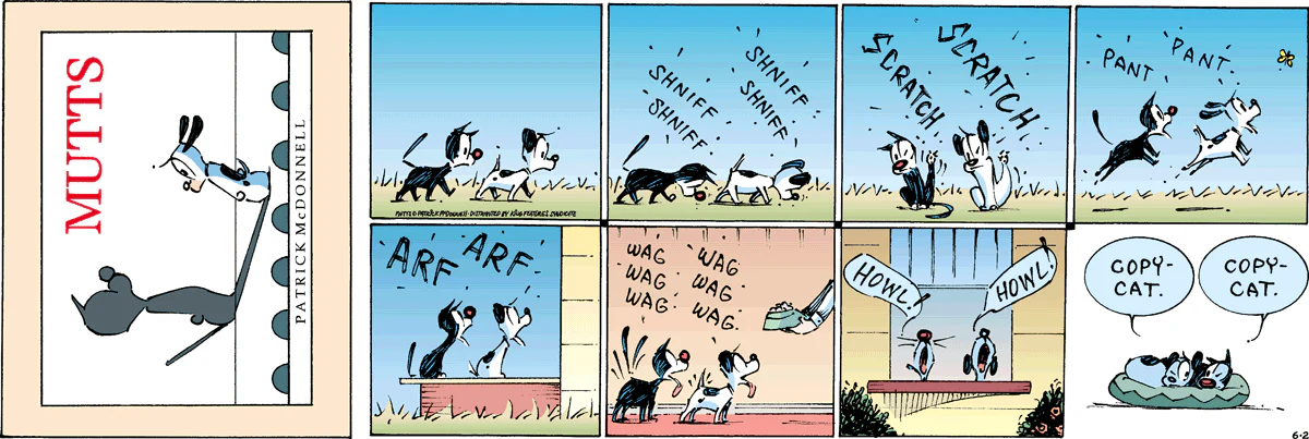 June 2 2024, Sunday Comic Strip