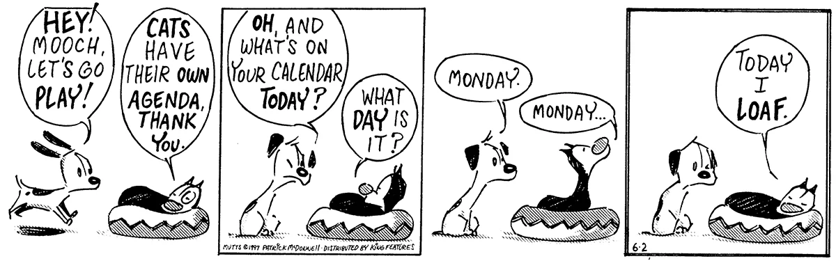 June 2 1997, Daily Comic Strip