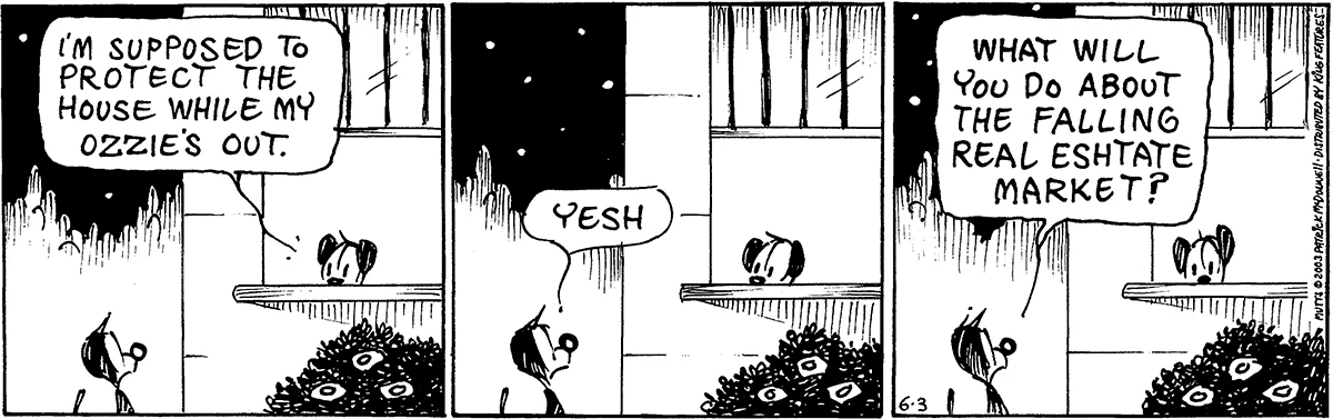 June 3 2003, Daily Comic Strip