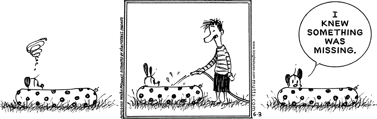 June 3 2021, Daily Comic Strip