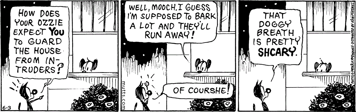 June 3 2025, Daily Comic Strip