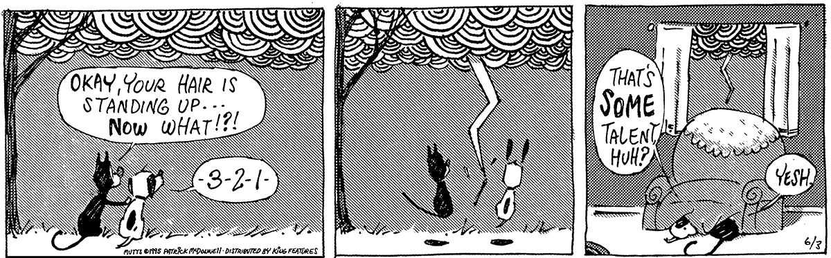 June 3 1995, Daily Comic Strip