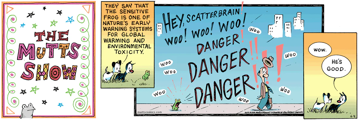June 4 2006, Sunday Comic Strip
