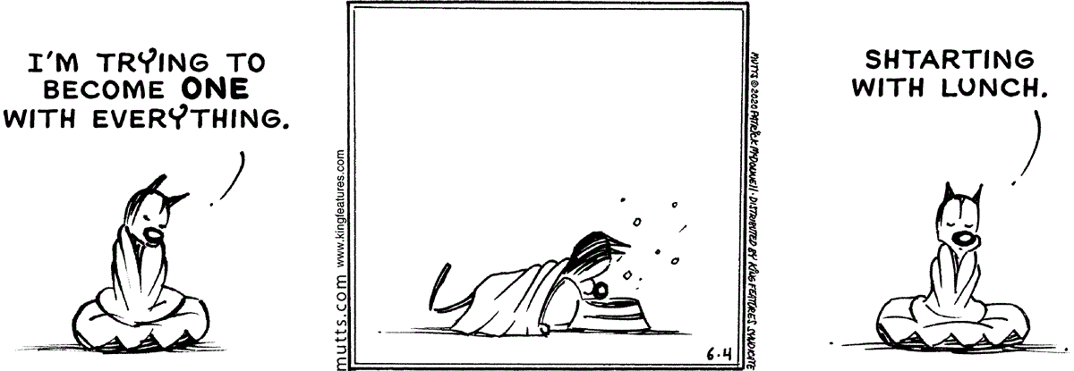 June 4 2020, Daily Comic Strip