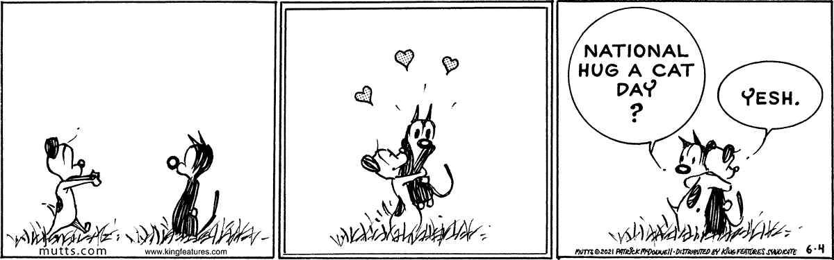 June 4 2021, Daily Comic Strip