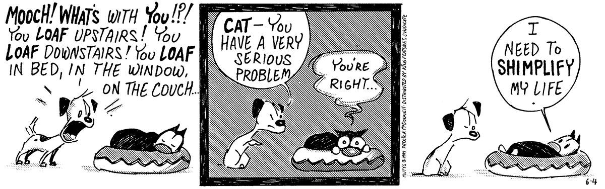 June 4 1997, Daily Comic Strip