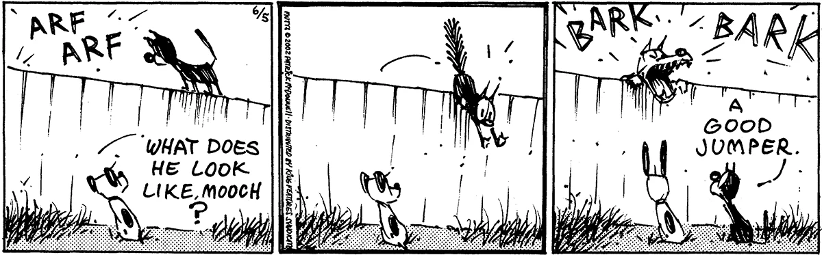 June 5 2002, Daily Comic Strip