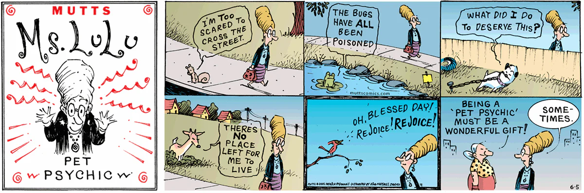 June 5 2005, Sunday Comic Strip