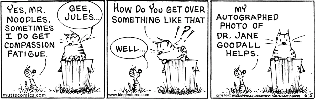 June 5 2007, Daily Comic Strip