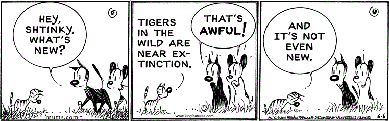 June 6 2016, Daily Comic Strip