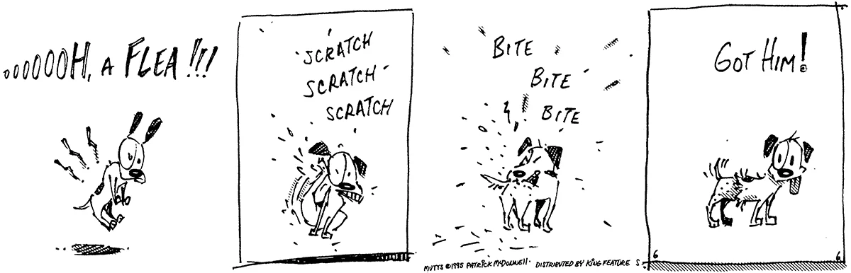 June 6 1995, Daily Comic Strip