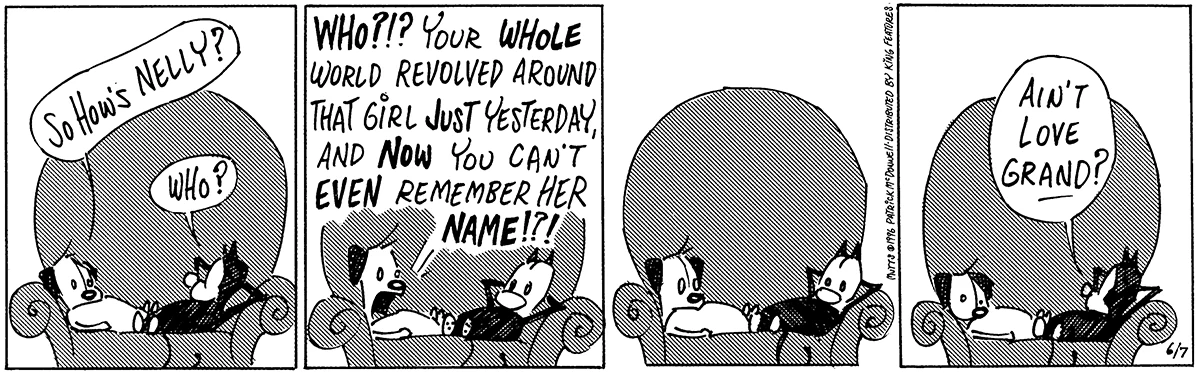 June 7 1996, Daily Comic Strip