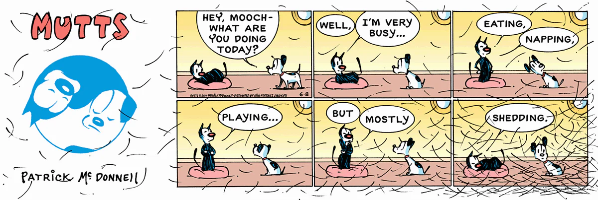 June 8 2014, Sunday Comic Strip