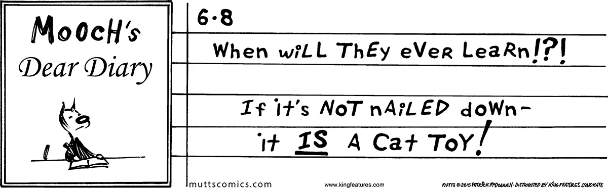 June 8 2015, Daily Comic Strip