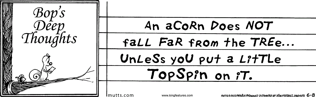 June 8 2023, Daily Comic Strip