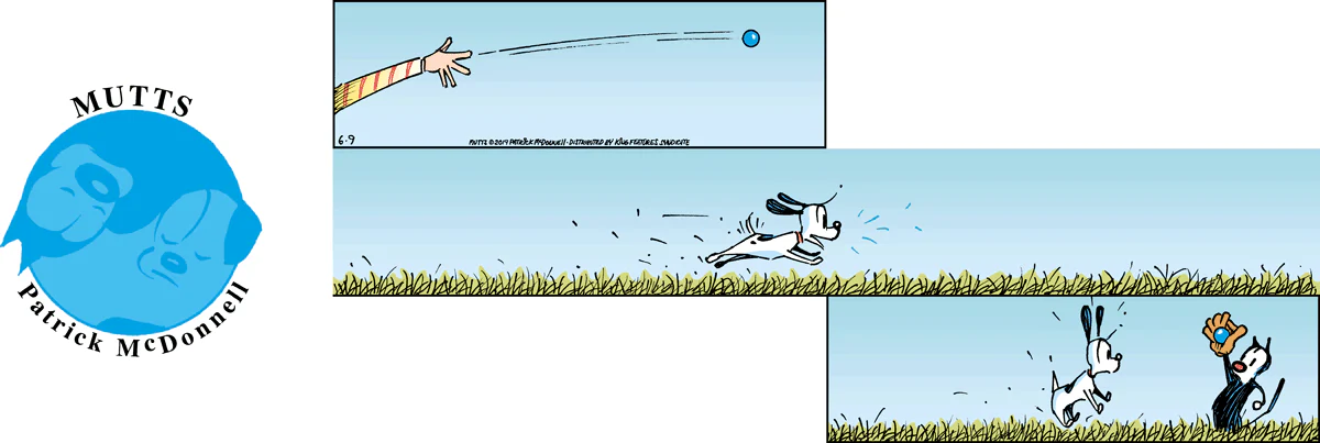 June 9 2019, Sunday Comic Strip