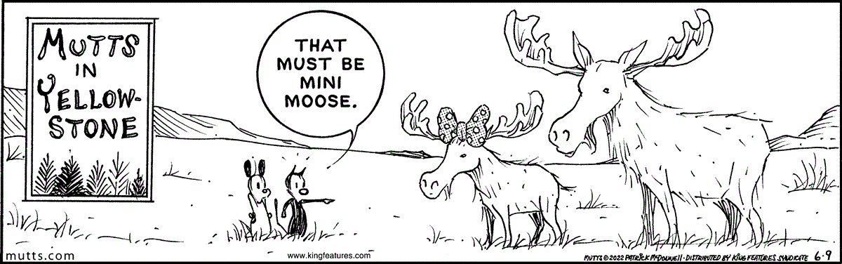 June 9 2022, Daily Comic Strip