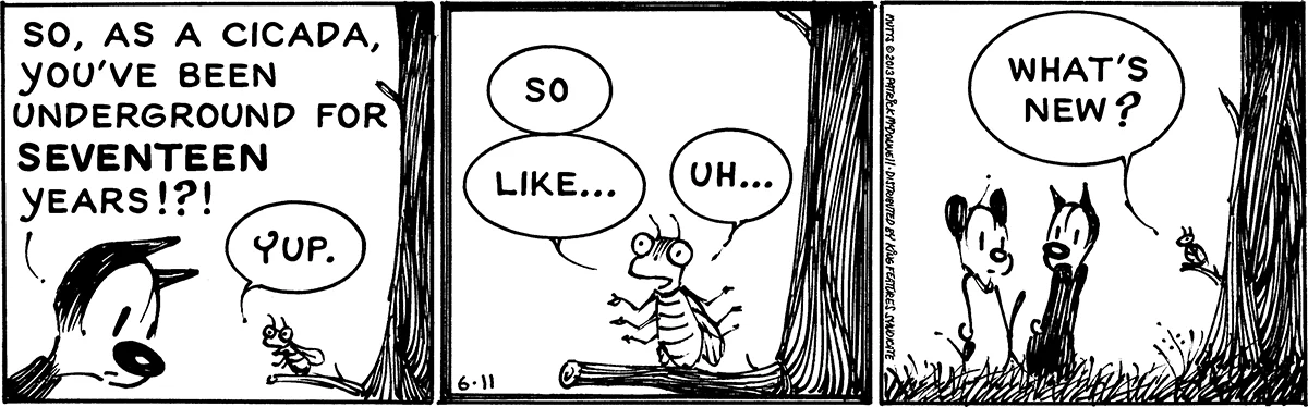June 11 2013, Daily Comic Strip