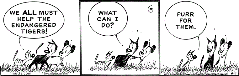 June 11 2016, Daily Comic Strip