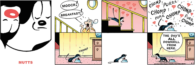 June 11 2017, Sunday Comic Strip