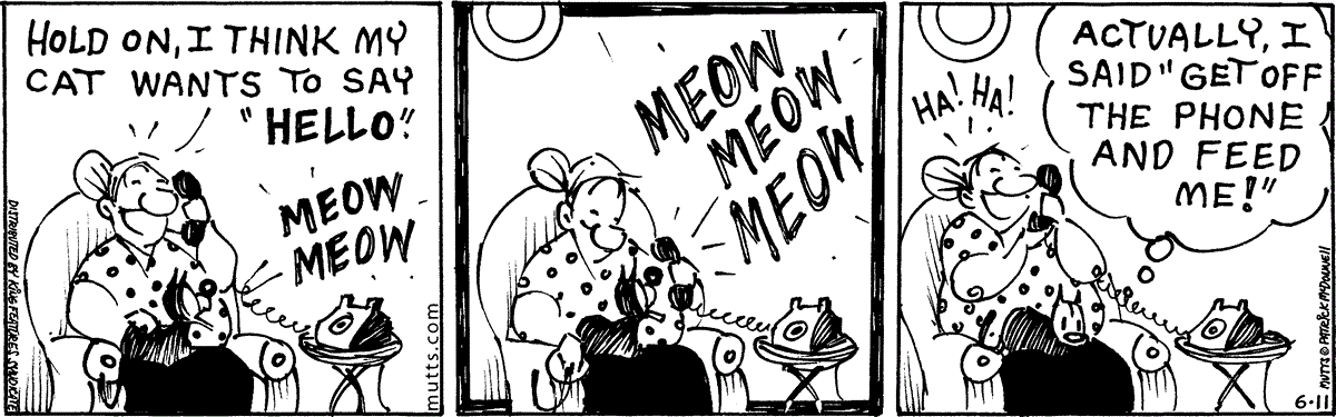 June 11 2025, Daily Comic Strip