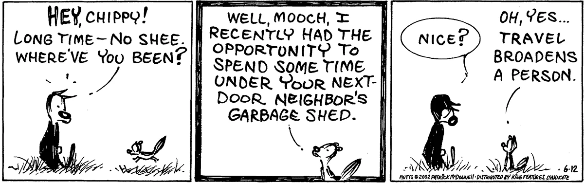 June 12 2002, Daily Comic Strip