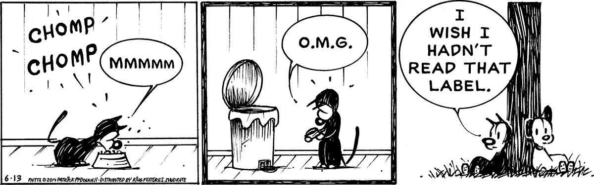June 13 2014, Daily Comic Strip