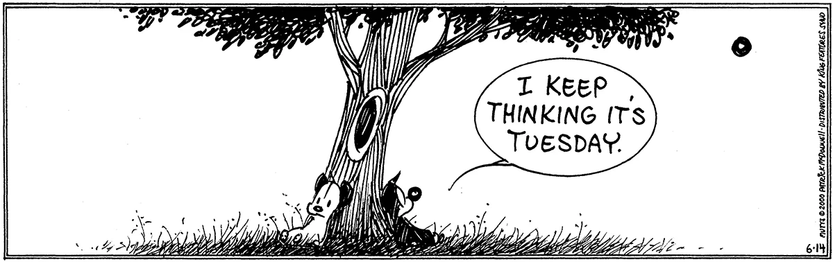June 14 2000, Daily Comic Strip