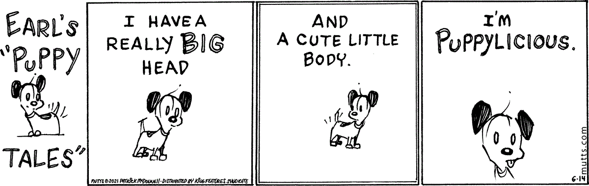 June 14 2021, Daily Comic Strip