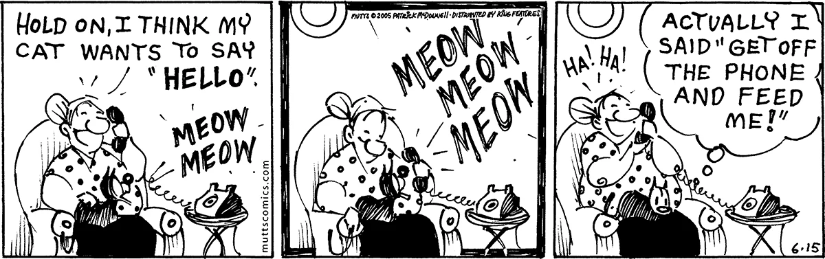 June 15 2005, Daily Comic Strip