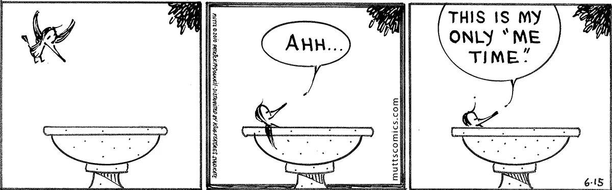June 15 2010, Daily Comic Strip