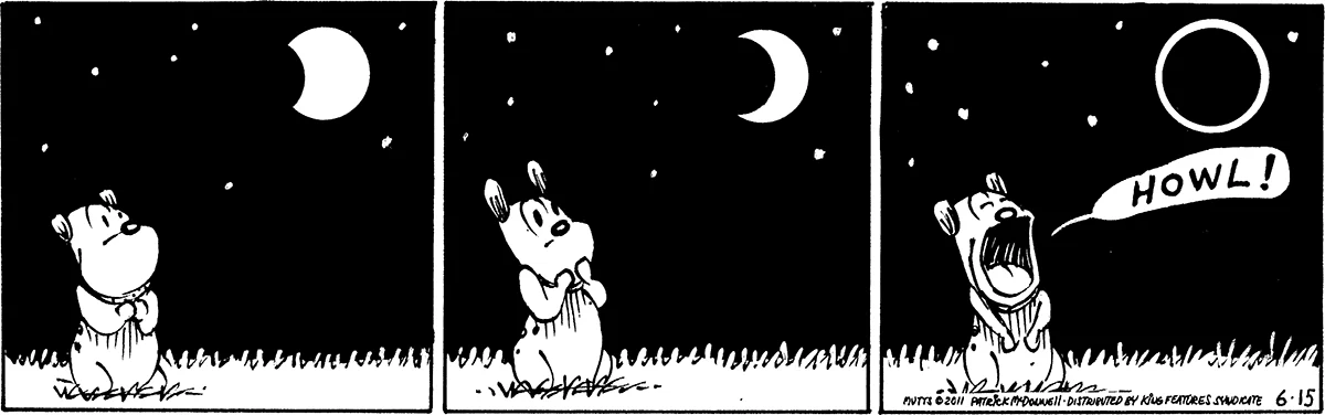 June 15 2011, Daily Comic Strip