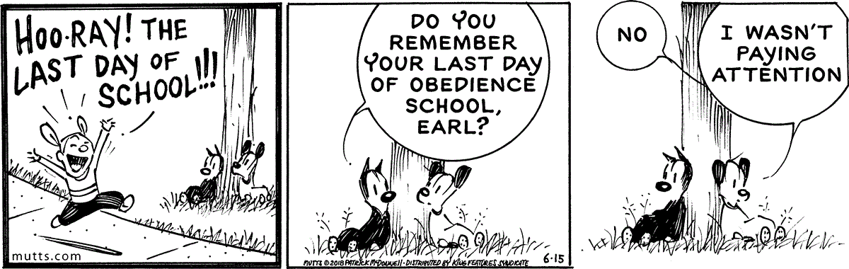 June 15 2018, Daily Comic Strip