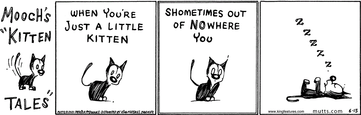June 15 2021, Daily Comic Strip
