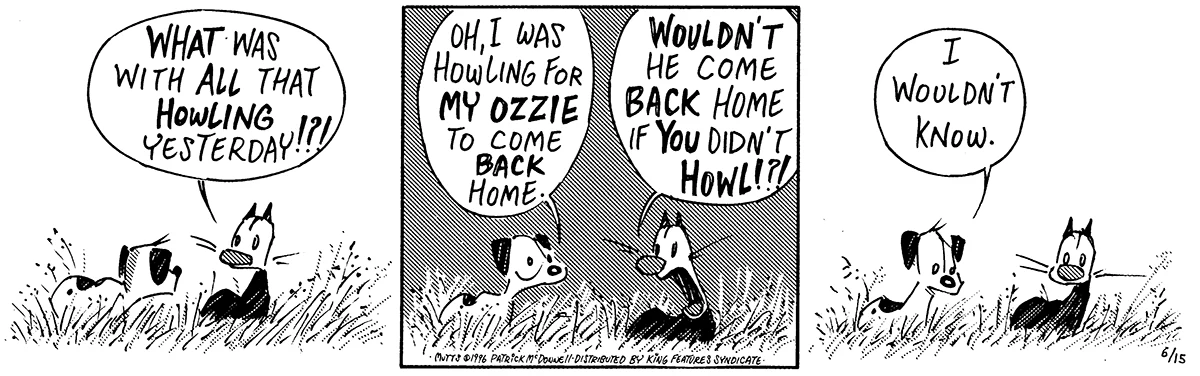 June 15 1996, Daily Comic Strip