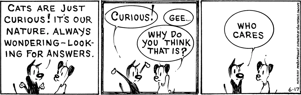 June 17 2011, Daily Comic Strip