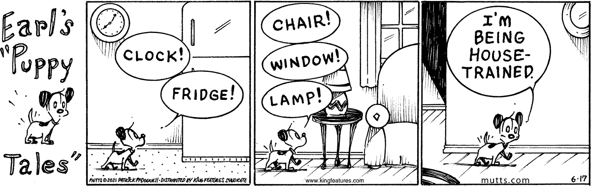 June 17 2021, Daily Comic Strip