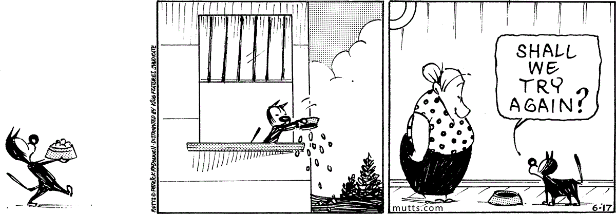 June 17 2025, Daily Comic Strip