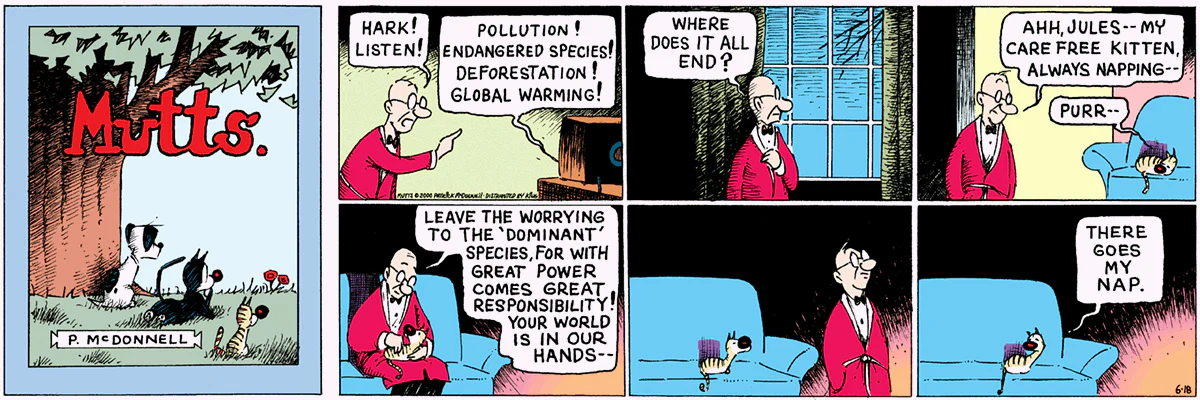 June 18 2000, Sunday Comic Strip