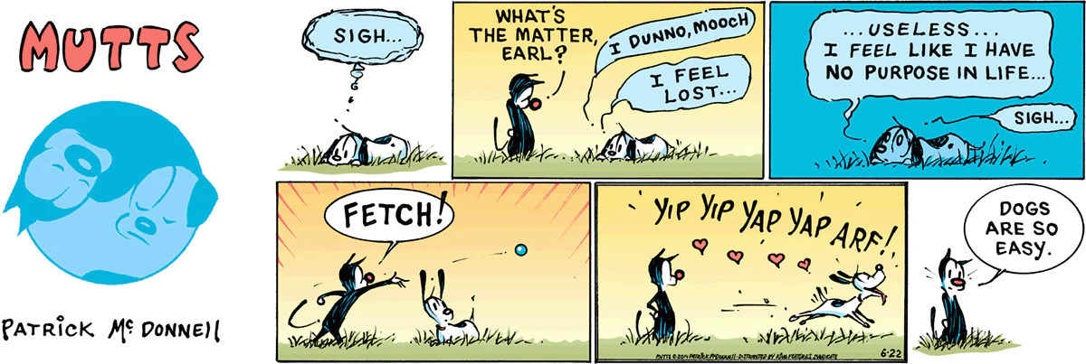 June 22 2014, Sunday Comic Strip