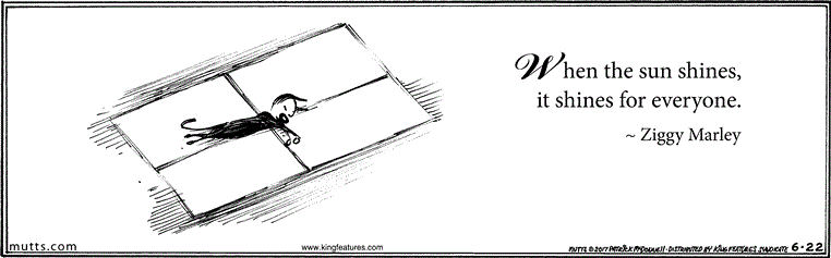 June 22 2017, Daily Comic Strip